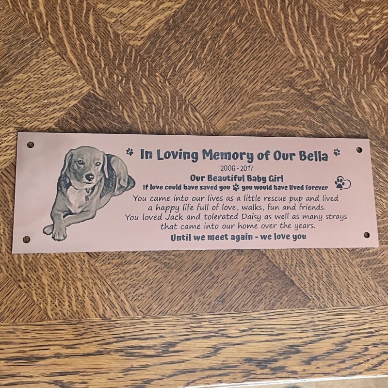 Memorial plaque in remembrance outdoor bench plaque with photograph personalised 30 x 15cm 11.8 x 5.9 inch various colours we also offer custom sizes
